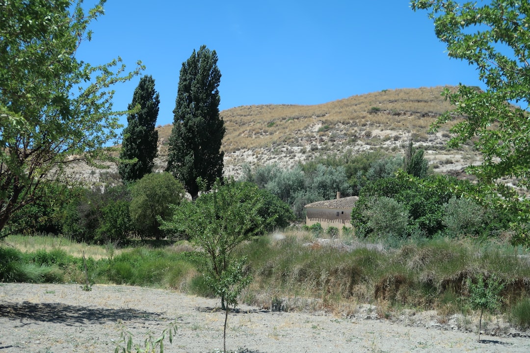 איכות חיים בישראל – כך תחיו כאן טוב באמת